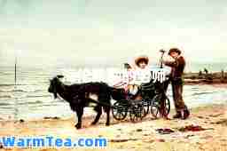 海伦凯勒的老师 海伦凯勒的老师