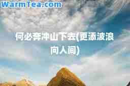 何必奔冲山下去(更添波浪向人间)