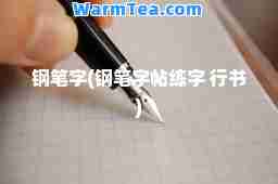 钢笔字(钢笔字帖练字 行书)