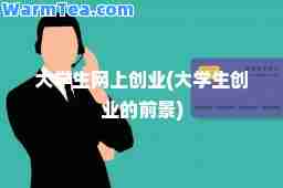 大学生网上创业(大学生创业的前景)