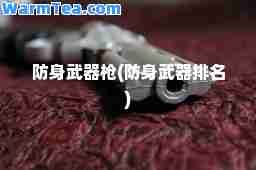 防身武器枪(防身武器排名)