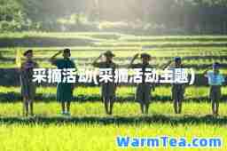 采摘活动(采摘活动主题)