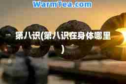 第八识(第八识在身体哪里)