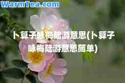 卜算子咏梅陆游意思(卜算子咏梅陆游意思简单)