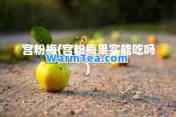 宫粉梅(宫粉梅果实能吃吗)