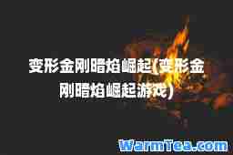 变形金刚暗焰崛起(变形金刚暗焰崛起游戏)