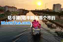 牯牛降(牯牛降是哪个市的)