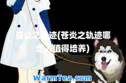 苍炎之轨迹(苍炎之轨迹哪些人值得培养)