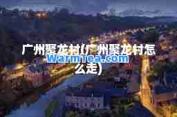 广州聚龙村(广州聚龙村怎么走)