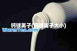 钙镁离子(钙镁离子大小)