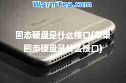 固态硬盘是什么接口(苹果固态硬盘是什么接口)