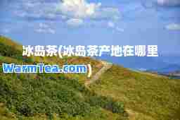 冰岛茶(冰岛茶产地在哪里)