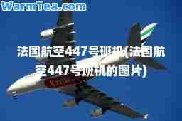 法国航空447号班机(法国航空447号班机的图片)