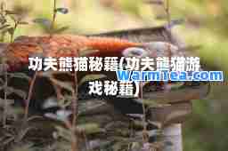 功夫熊猫秘籍(功夫熊猫游戏秘籍)