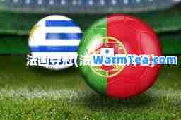 法国夺冠(法国夺冠阵容)