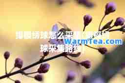 绯樱绣球怎么采集(绯樱绣球采集路线)