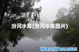 汾河水库(汾河水库图片)