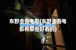 东野圭吾电影(东野圭吾电影有那些好看的)