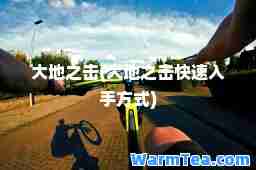 大地之击(大地之击快速入手方式)