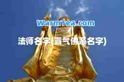 法师名字(霸气佛系名字) 法师名字(霸气佛系名字)
