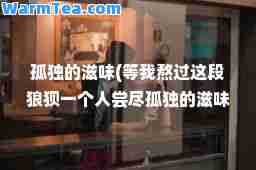孤独的滋味(等我熬过这段狼狈一个人尝尽孤独的滋味)