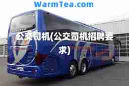 公交司机(公交司机招聘要求)