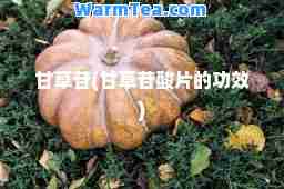 甘草苷(甘草苷酸片的功效)