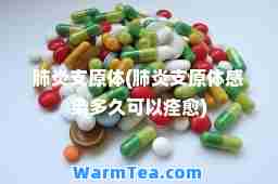 肺炎支原体(肺炎支原体感染多久可以痊愈)
