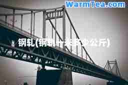 钢轧(钢轨一米多少公斤)