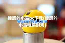 愤怒的小鸟pc下载(愤怒的小鸟电脑游戏)