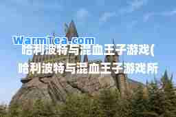 哈利波特与混血王子游戏(哈利波特与混血王子游戏所有徽章)