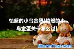 愤怒的小鸟金蛋(愤怒的小鸟金蛋关卡怎么过)