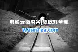 电影云南虫谷(鬼吹灯全部电影云南虫谷)