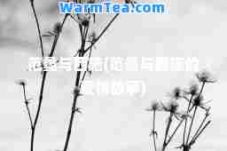 范蠡与西施(范蠡与西施的爱情故事)