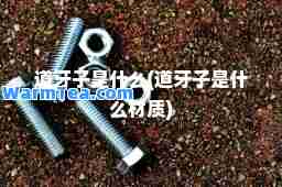 道牙子是什么(道牙子是什么材质)