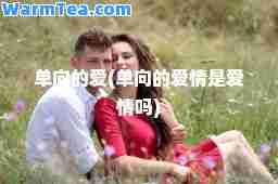 单向的爱(单向的爱情是爱情吗)