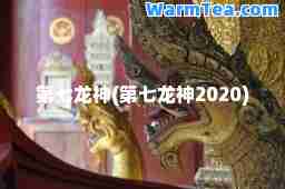 第七龙(第七龙2020)