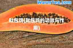 肚包鸡(肚包鸡的功效与作用)