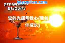 的光辉照我心(我的家风伴成长)