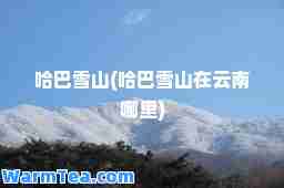 哈巴雪山(哈巴雪山在云南哪里)