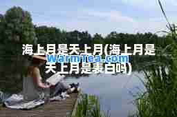 海上月是天上月(海上月是天上月是表白吗)