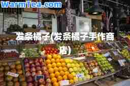 发条橘子(发条橘子手作商店)