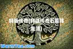 韩版传奇(韩版传奇石墓阵走法)