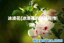 冰凌花(冰凌花的功效与作用)