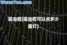 操虫棍(操虫棍可以点多少盏灯)