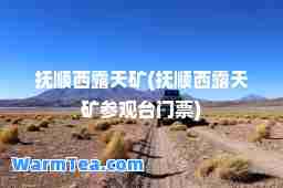 抚顺西露天矿(抚顺西露天矿参观台门票)
