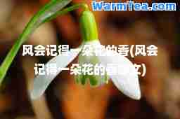 风会记得一朵花的香(风会记得一朵花的香原文)