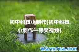 初中科技小制作(初中科技小制作一等奖视频)