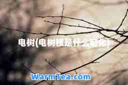 电树(电树枝是什么老化)