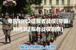 帝国时代2征服者战役(帝国时代2征服者战役剧情)